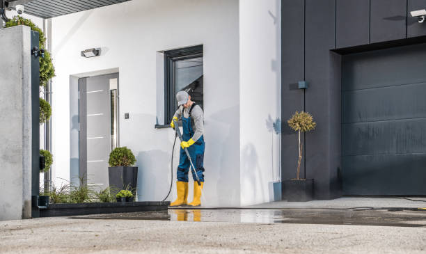 Best Driveway Pressure Washing  in Blue Mound, IL